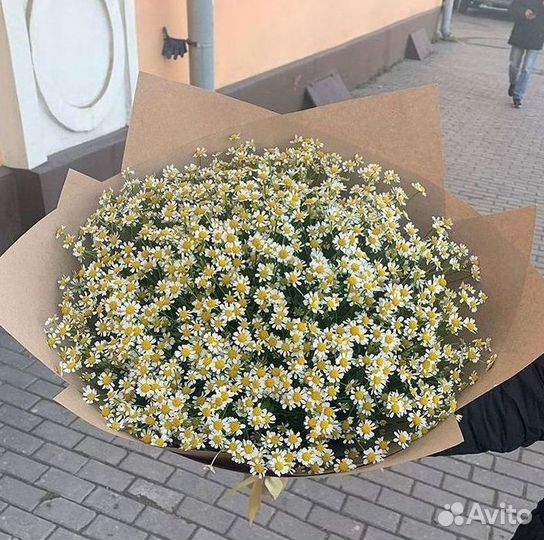 Ромашки Букет из ромашек доставка