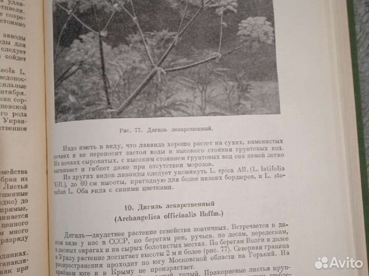 Книги по пчеловодству