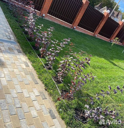 Рулонный газон / под ключ