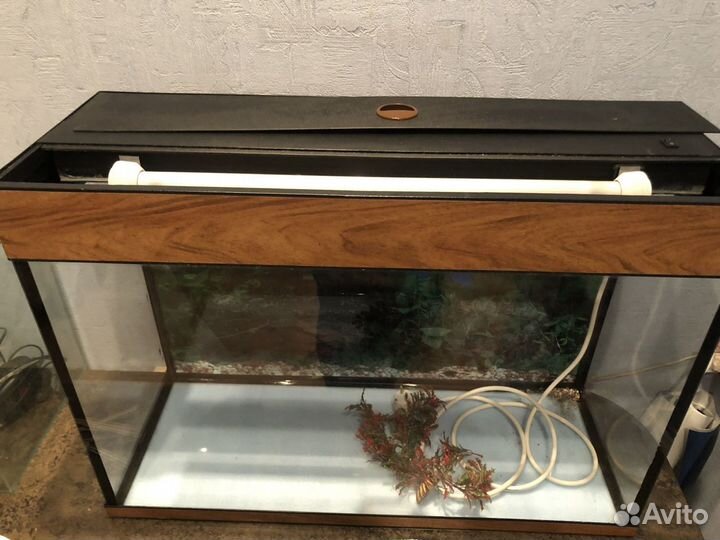 Аквариум