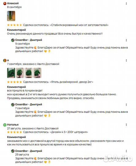 Вечно живой зеленый мох для декора помещений