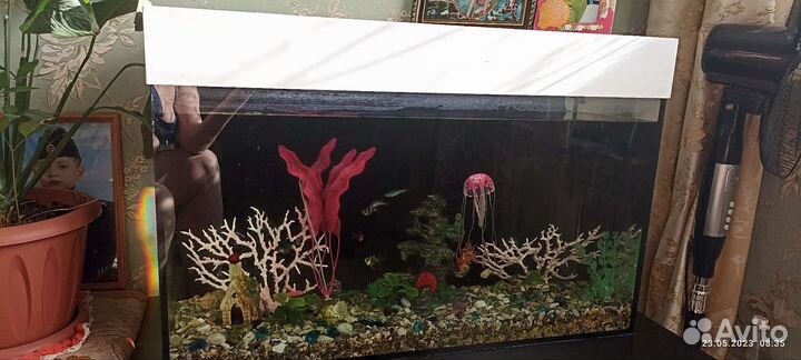 Аквариум