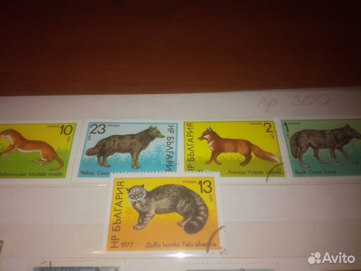 Марки-Фауна