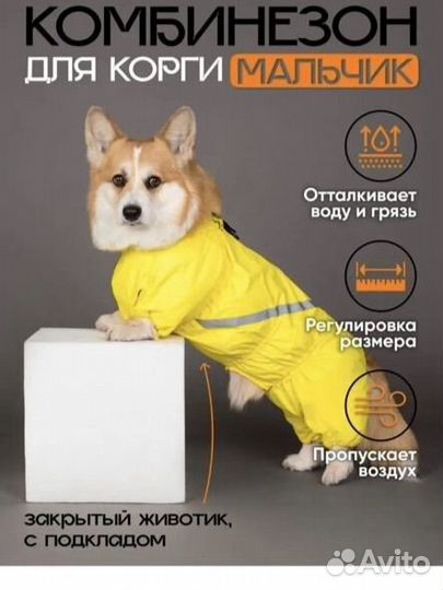 Грязезащитный комбинезон для Корги