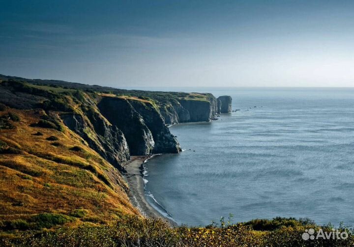 Морские прогулки Камчатка