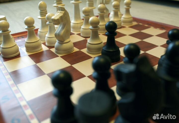 Шахматы крупные