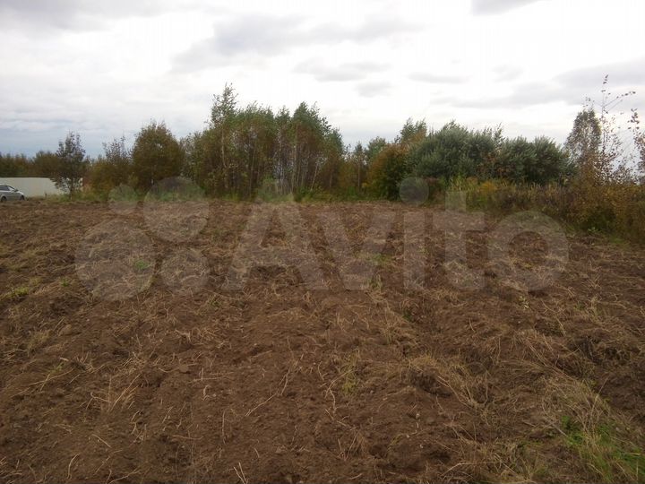 Участок 10 сот. (СНТ, ДНП)