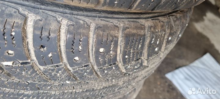Gislaved Euro Frost 2 185/65 R15