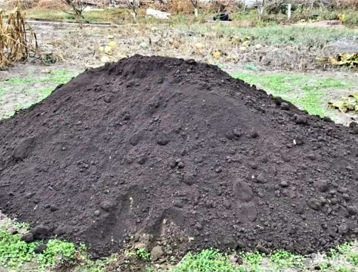 Перегной и Чернозем
