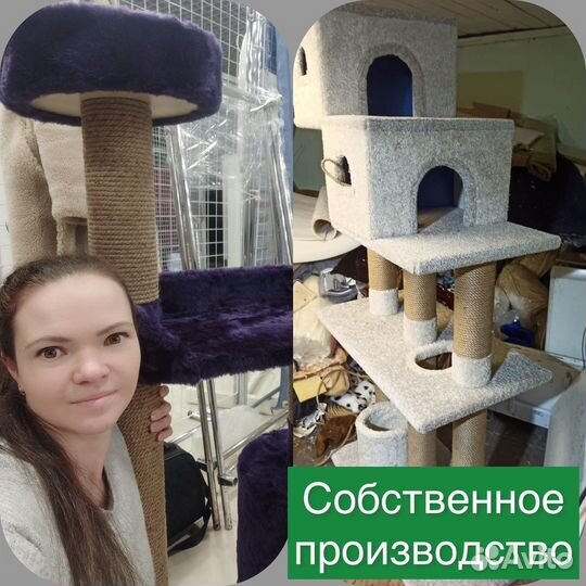 Когтеточка