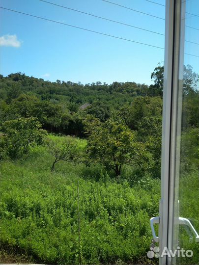 Отдых в Абхазии