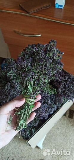 Душица и шалфей