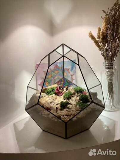 Ваза стеклянная для флорариума (суккуленты)