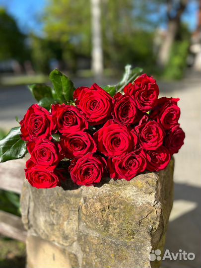 Красивый букет красных роз красные цветы