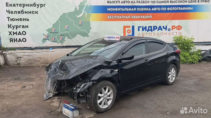 Уплотнитель стекла двери передней левой Hyundai El