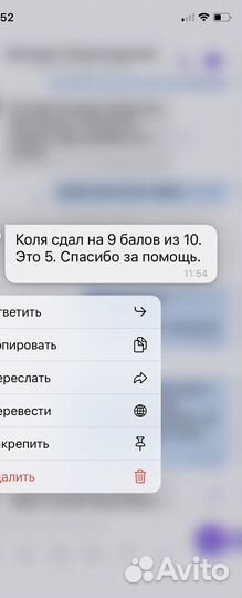 Репетитор по русскому языку и литературе
