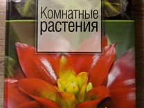 Мопассан плетельщица стульев краткое содержание