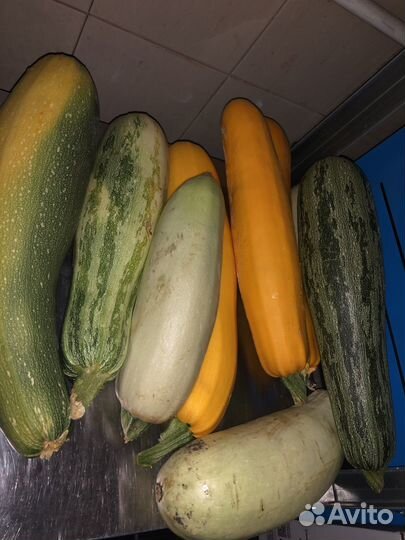 Тыква кабачки