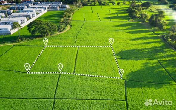 Вынос границ земельных участков в Орле и области