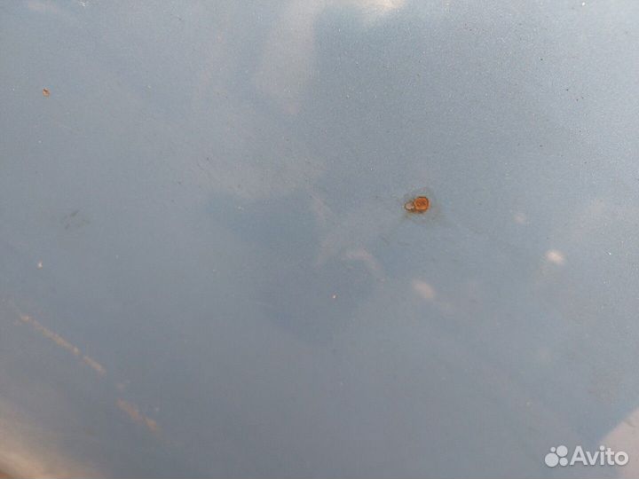 Капот Chevrolet Matiz (Spark), 2008