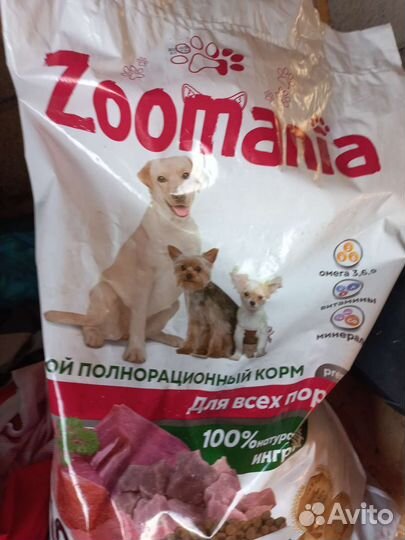 Корм для собак