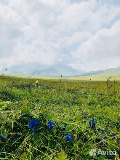 Трекинг-тур выходного дня Великолепие Лаго-Наки
