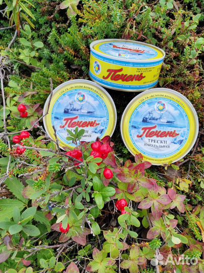 Печень трески сделано в море