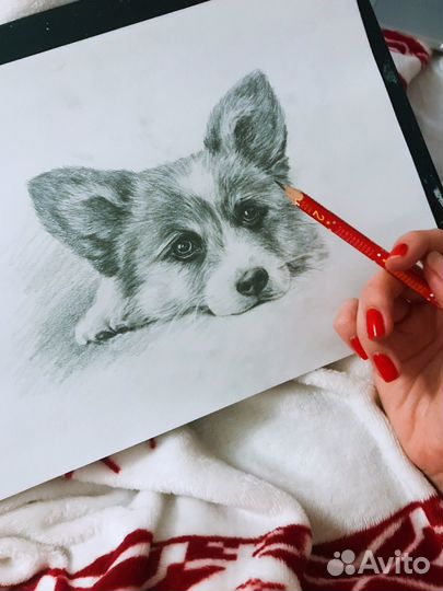 Портрет вашего питомца