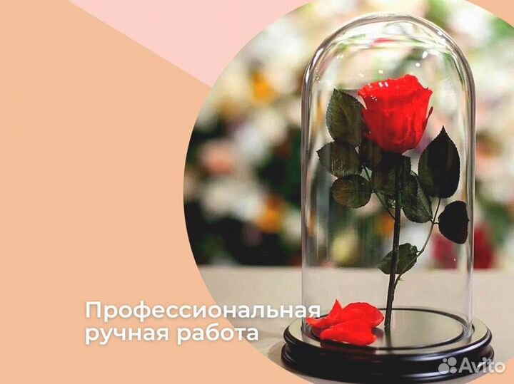 Роза в колбе. Вечная