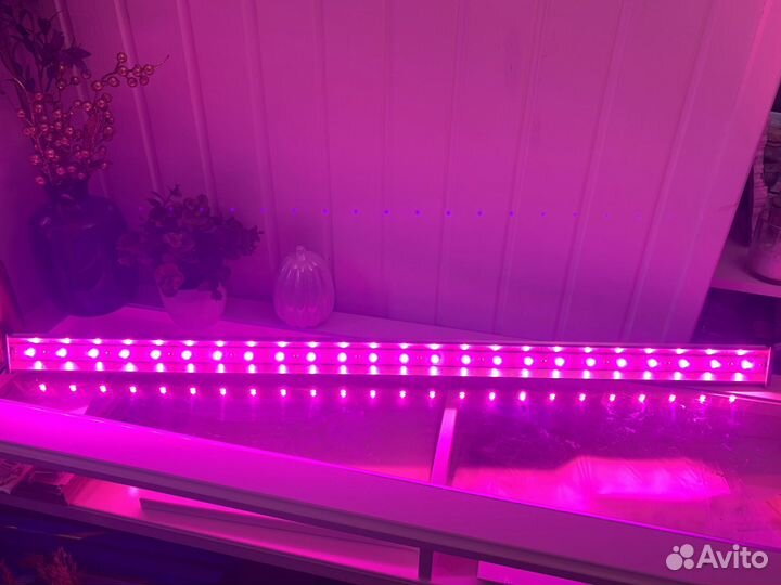 Фитолампа для растений полный спектр 1м 50Вт
