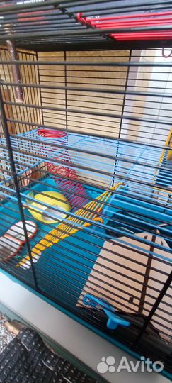 Все для хомяка