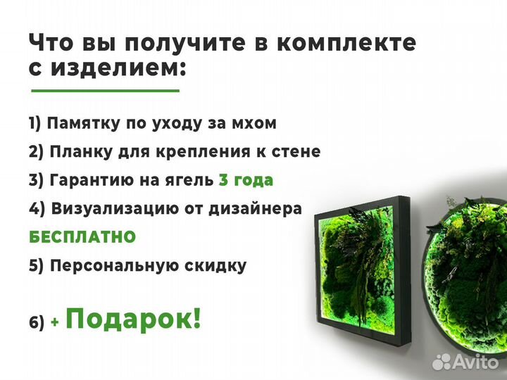 Круг из стабилизированного мха 100 см