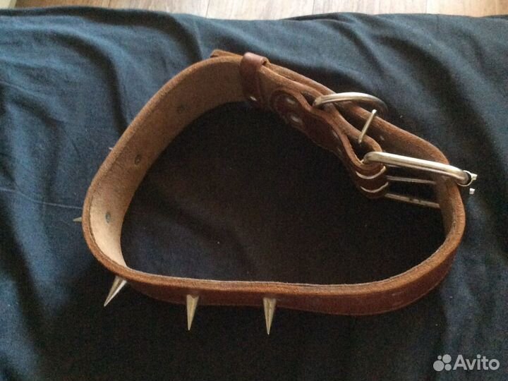 Ошейник для крупной собаки