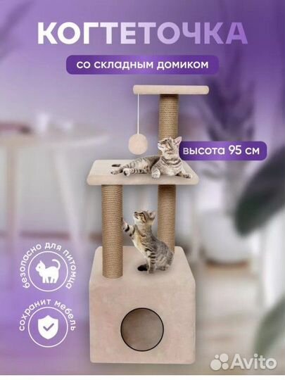 Когтиточка