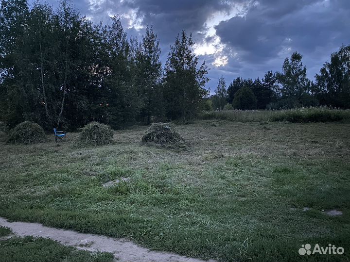 Отдам бесплатно траву