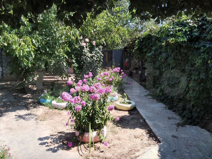 Дом 86 м² на участке 5,3 сот.