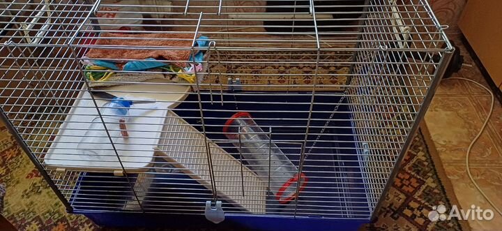 Клетка для хорьков/шиншил/кроликов/свинок