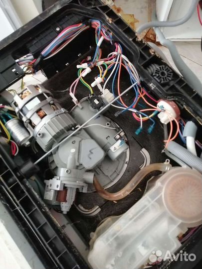 Ремонт стиральных и посудомоечных машин