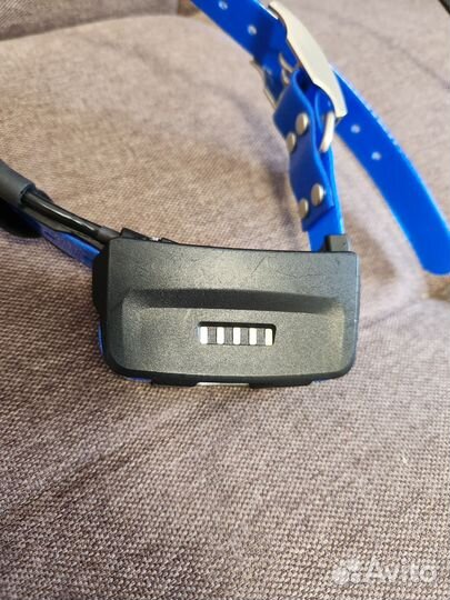 Русский ошейник Garmin T5 (датчик лая)