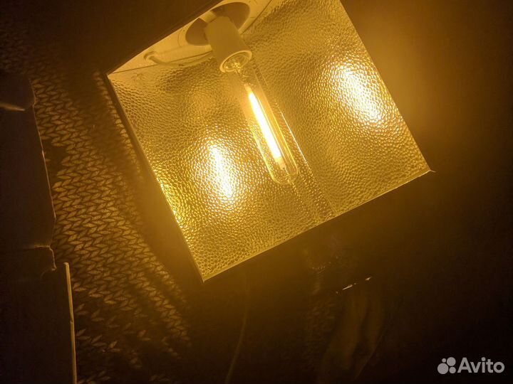 Култуб + днат 600 + эпра nanolux OG 600w