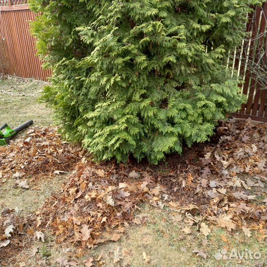 Садовник приходящий