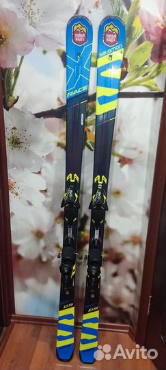 Горные лыжи salomon X-Rase SC 175