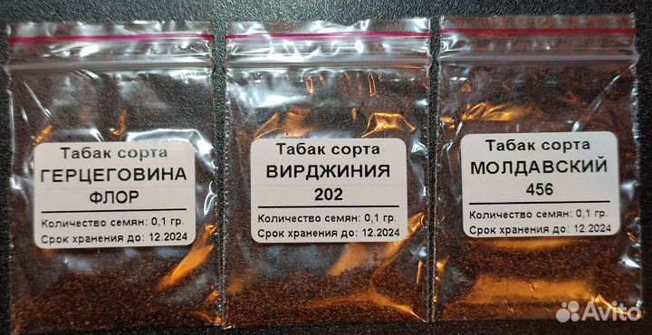 Семена табака