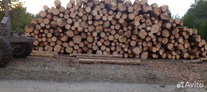 Лес кругляк сосна оптом