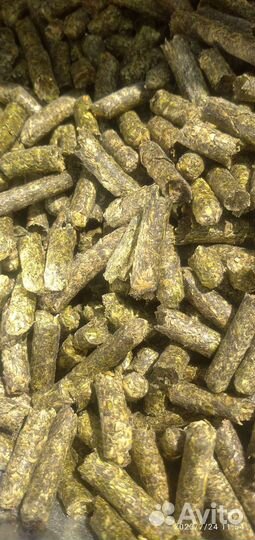 Корма для животных и птиц кукуруза комбикорм