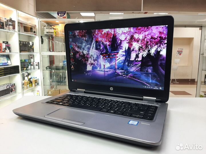 Ноутбук HP 14