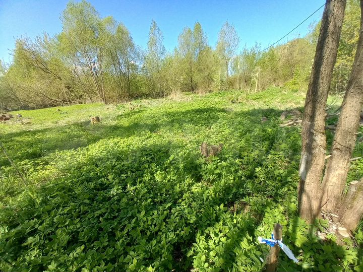 Участок 13,5 сот. (ИЖС)