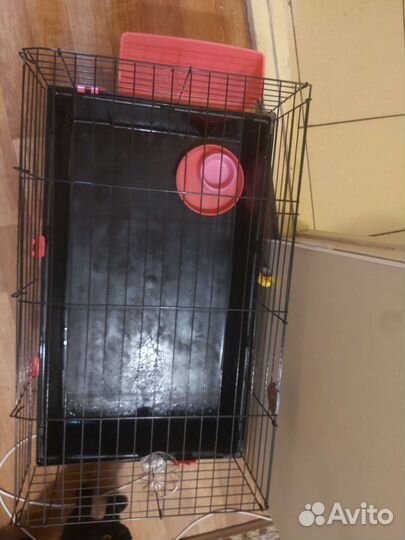 Клетка для кролика декоротивного большая
