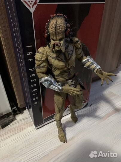 Predator Upgrade v.2