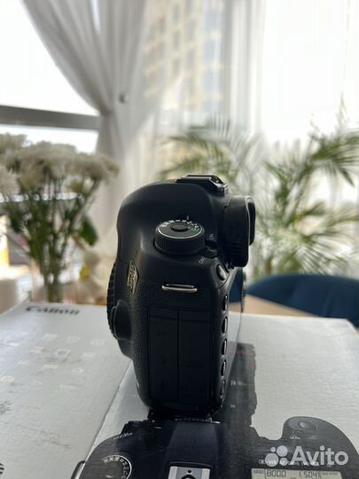 Зеркальный фотоаппарат canon 5d mark 3